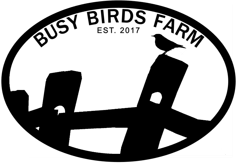 Busy Birds Farm