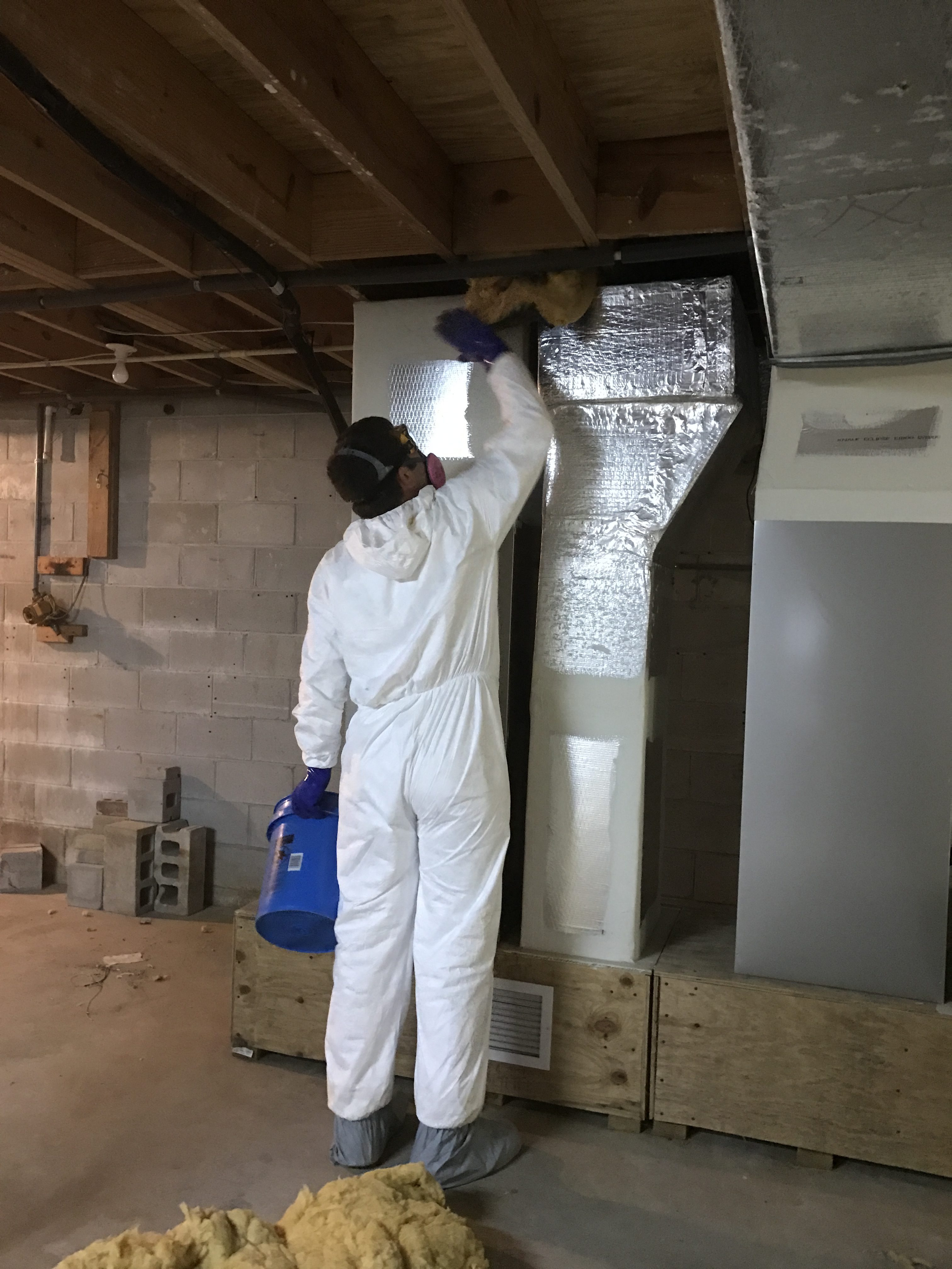 DIY Home Mold Removal