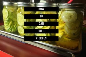 How to Can Dill Pickles